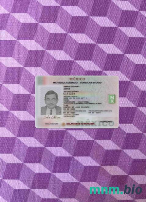 Meksyk konsularna karta ID fotowygląd szablon PSD